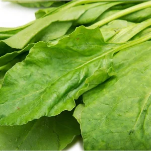 Premium Spinach (Palak) 500g