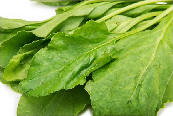 Premium Spinach (Palak) 500g - Image 2